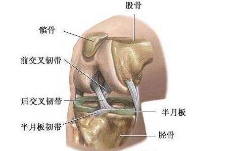 腿经常突然性发软