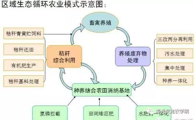 昌宁县发展现代农业的 现状与对策