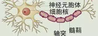 健康 正文實驗室檢查對臨床診斷有輔助意義.