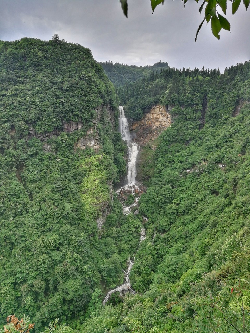 利川夏無酷暑,冬無嚴寒,被譽為