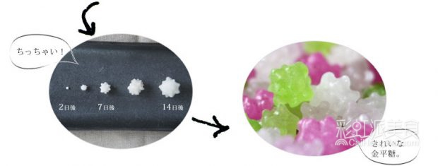 日本金平糖丨爸比 你吃过小星星吗