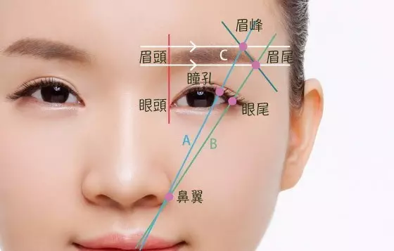 鼻翼与瞳孔最外侧要在一条直线上;眉头和内眼角要在一条直线上;画眉毛