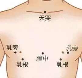 前胸的准确位置图图片