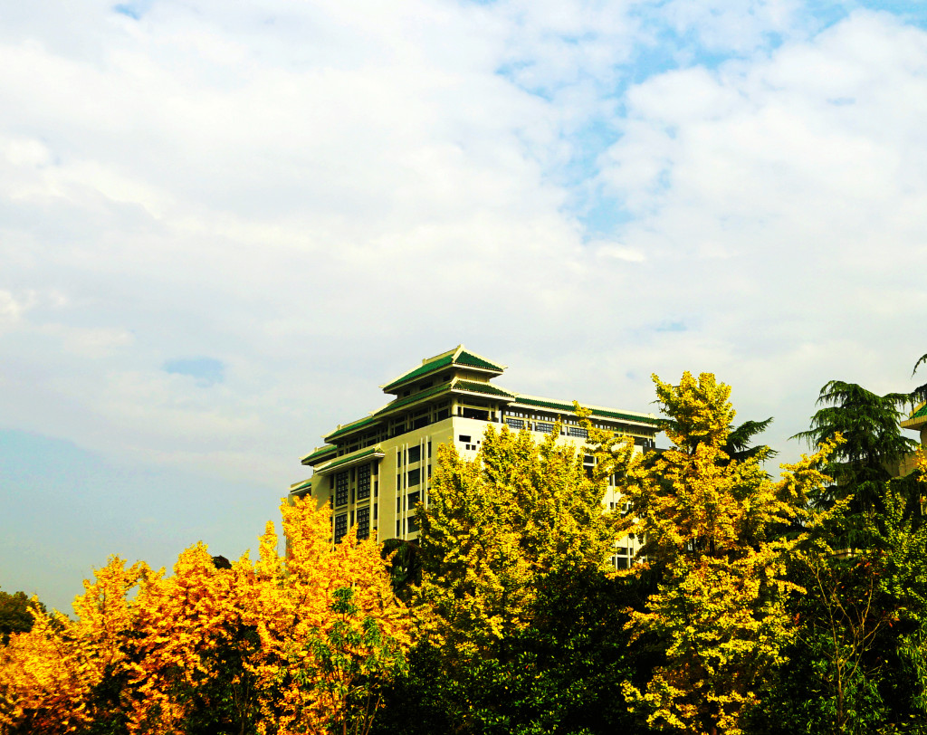 最美大学校园风景排名图片