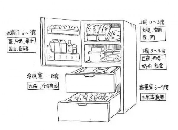 冰箱存放食物示意图图片