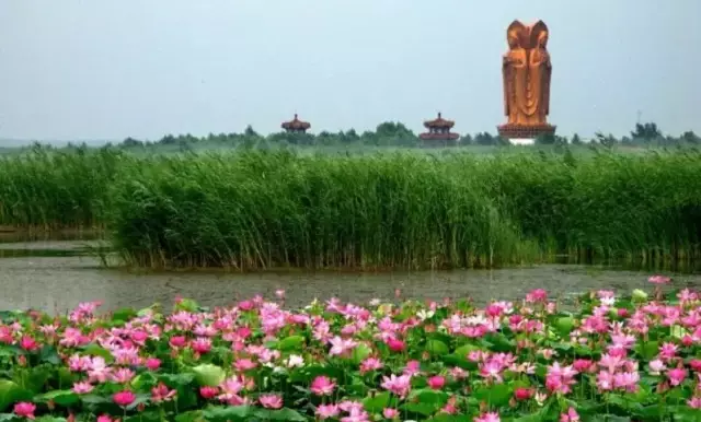 汶上縣蓮花湖溼地位於汶上縣城北沿濱湖大道兩公里處,佔地4300餘畝