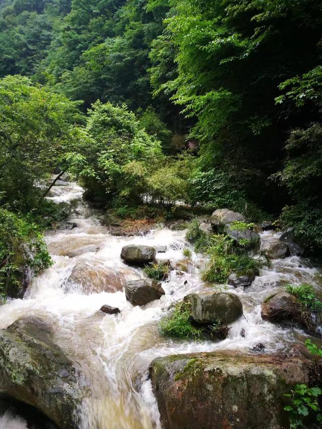 利川是我心裡最佳的避暑勝地