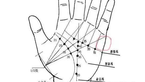 我们都了解,掌纹有3条主要的痕迹,我们叫它们感情线,智慧线,生命线