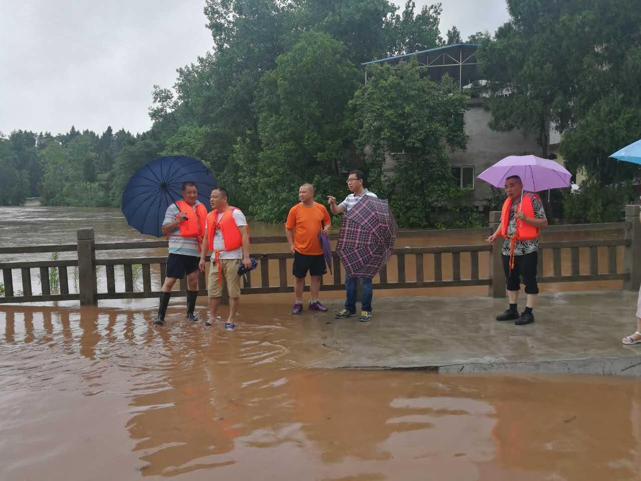 【附:视频】上面几张照片,就是今儿个的咱们南充市嘉陵区这边的双桂镇