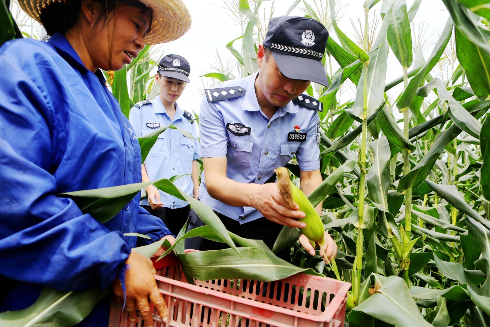 警察帮助别人的图片图片