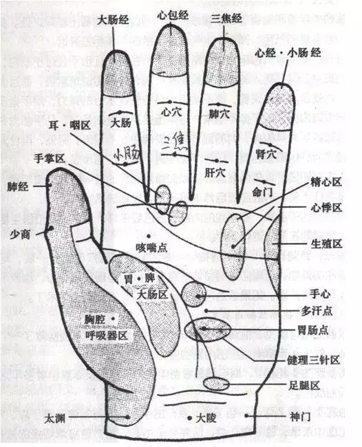 手掌穴位按摩的方法