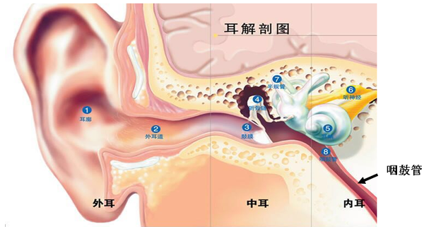 耳朵痛是什么原因