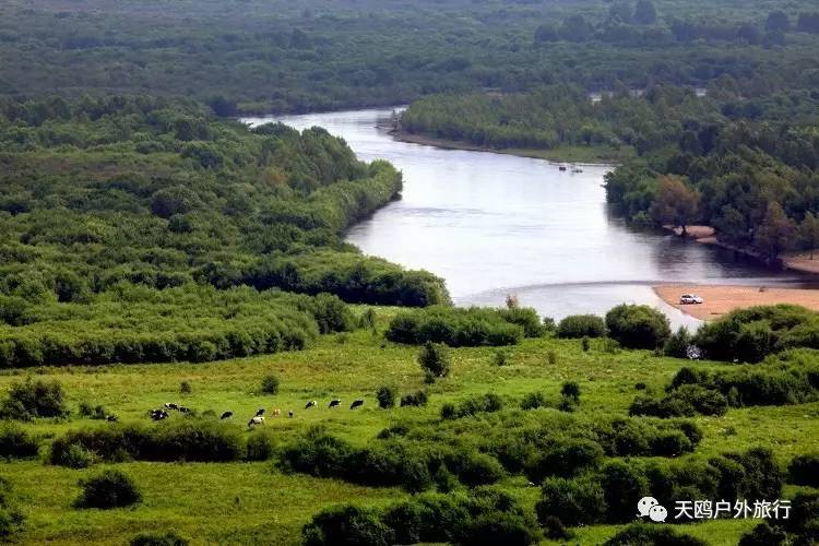 裁彎取直的河流曲流,像寶石一樣鑲嵌在草地上的牛軛湖,河流,湖泊,植被