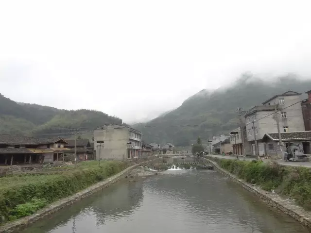 福鼎仙蒲村的护城河~一年四季清澈见底~茶农家进茶园的山路