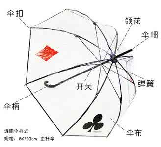 自动伞结构图解析图片