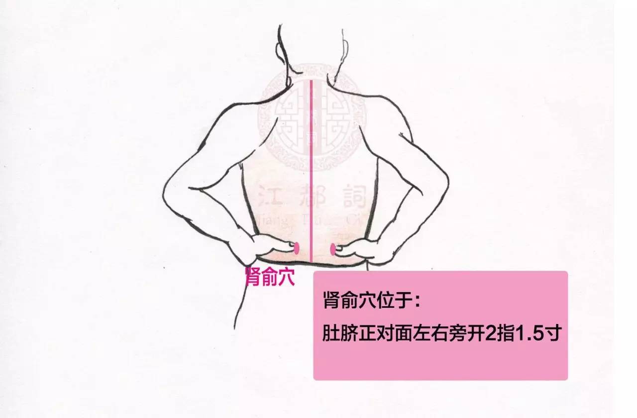 肾区定位标志图片