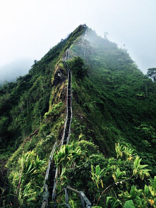 陡峭的山路许多地方近乎90°垂直,游客在攀爬过程中需要仅仅的抓住
