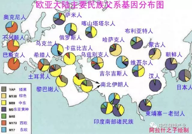 从中国人的角度讲,历史上发生过几次大规模的民族混血,使得纯种的汉族