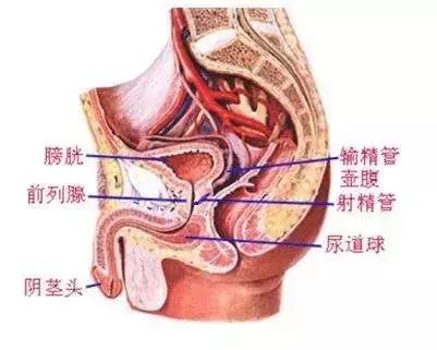 除了细菌感染