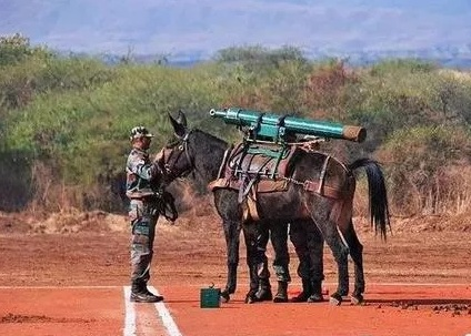 印度炮兵图片