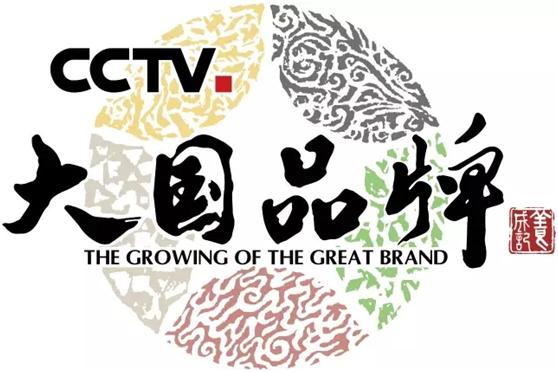 CCTV国家品牌图片