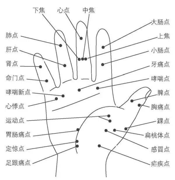 董氏大拇指全息对应图