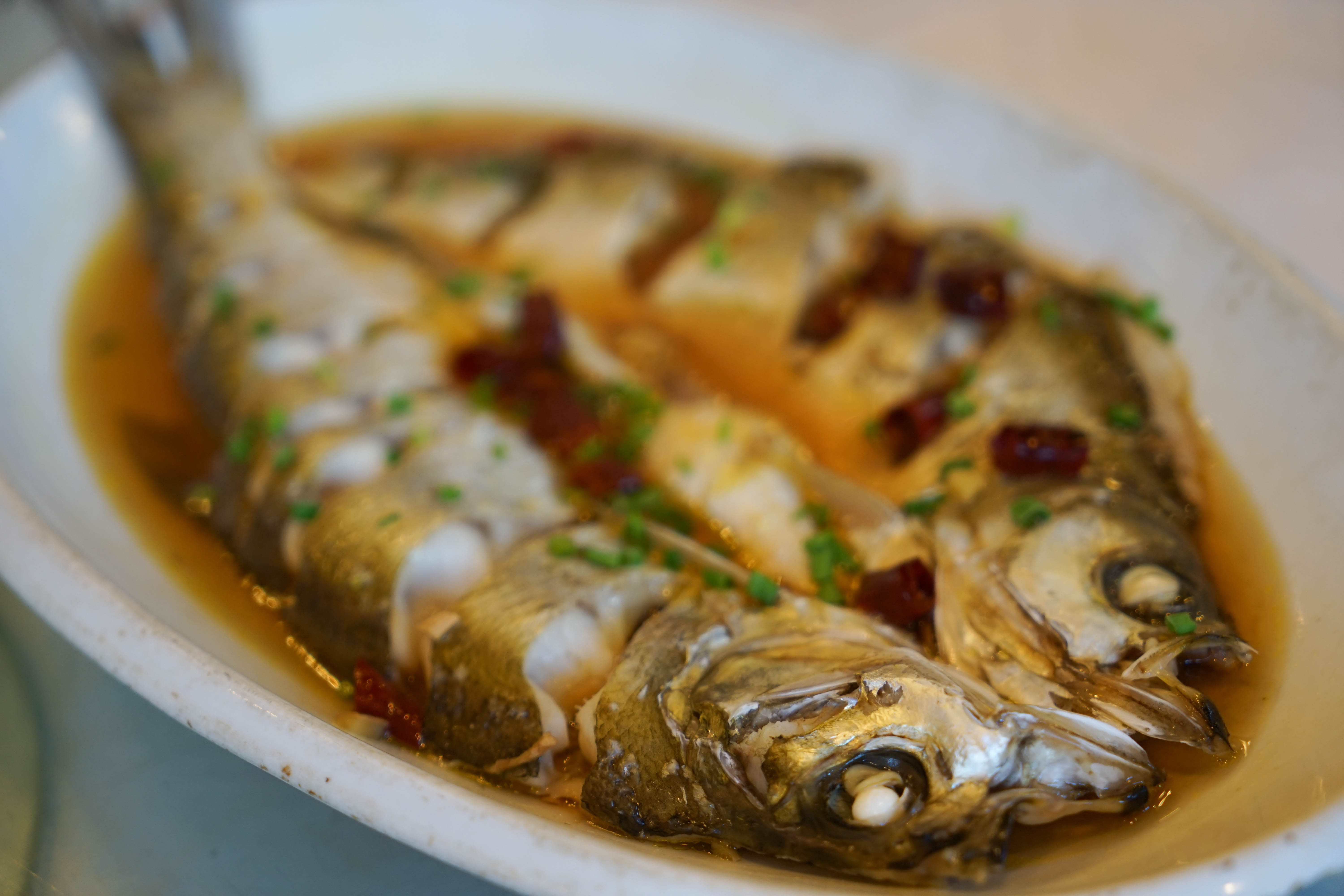 说到西塘的特色菜,本地白斩土鸡,清蒸白水鱼,响油鳝糊,馄饨老鸭煲是