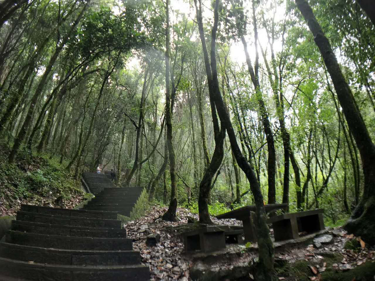 头天晚上,观察到天气不好,第二天可能会下雨,有人犹豫不定.