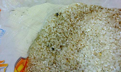 刚买的大米煮熟了有股霉味,是大米有什么问题吗?