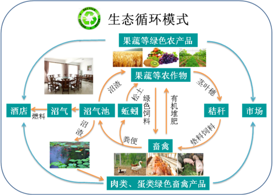 以種植戶太8號葡萄和獼猴桃為重點,通過