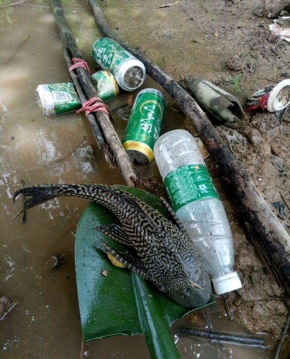 颱風剛過去釣魚,頭三條都是垃圾和魚,第四條終於