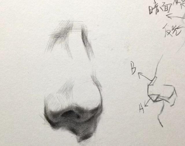 鼻子素描学生作品图片
