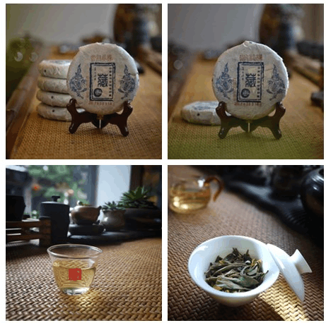 產品搶先看昆明茶博會之經典普洱篇