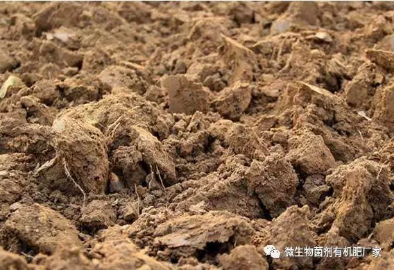 农业种植中,土壤肥力的判断与提升