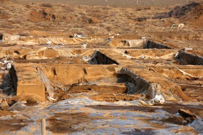 山东出土5000年前巨人骸骨