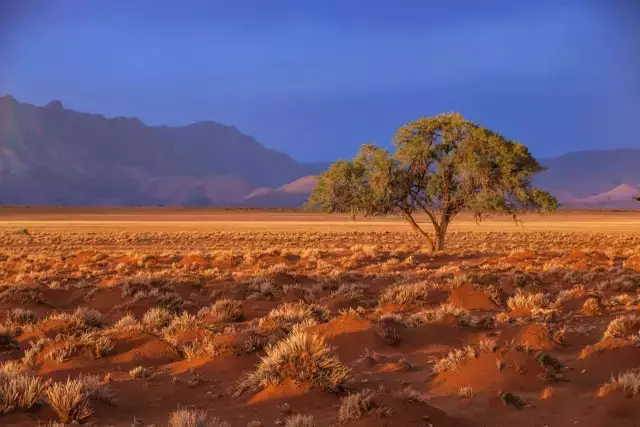 纳米比亚属亚热带干旱,半干旱气候,年均300天为晴天,是撒哈拉以南最
