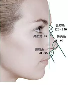 拥有180℃的鼻额角效果就就如下图↓正常的鹅蛋脸型,鼻子的标准出发点