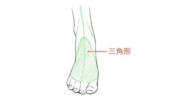 gad翻譯館通過部位的拆分來掌握腳的畫法