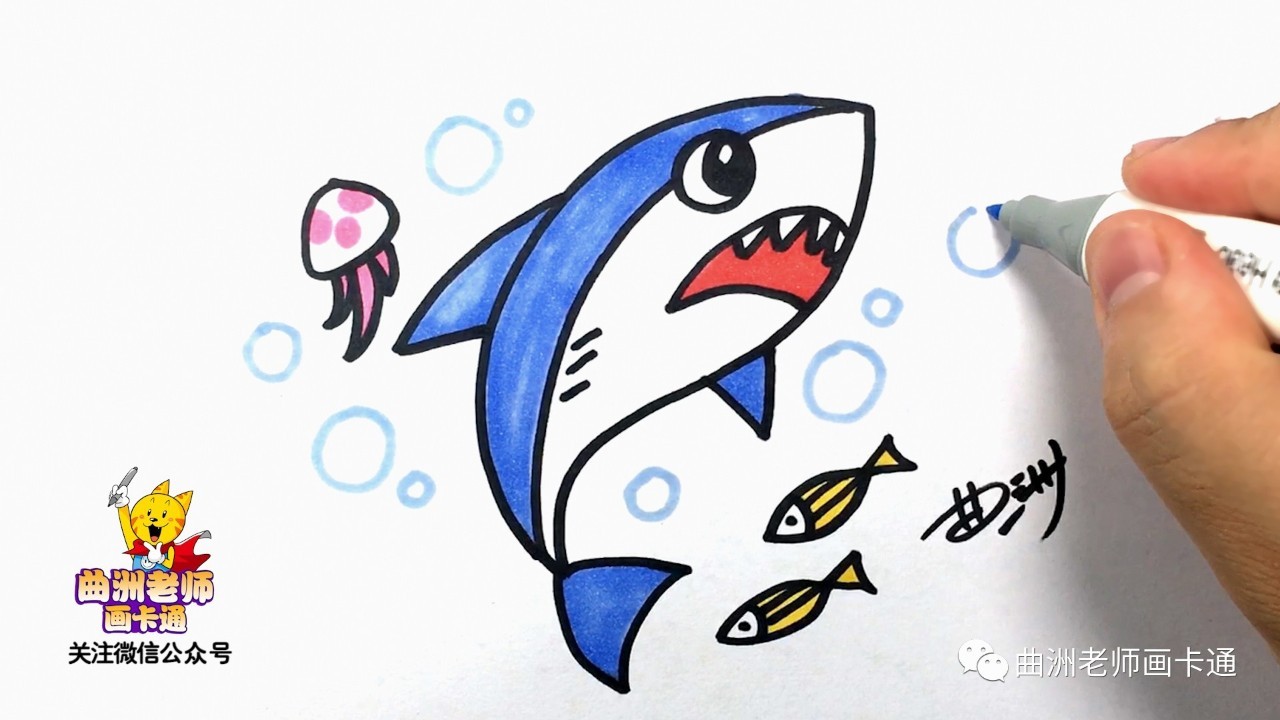 少儿简笔画鲨鱼曲洲老师画卡通