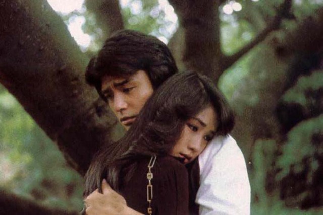 1981琼瑶电影《聚散两依依》吕秀菱与钟镇涛~1981《梦的衣裳》吕秀菱