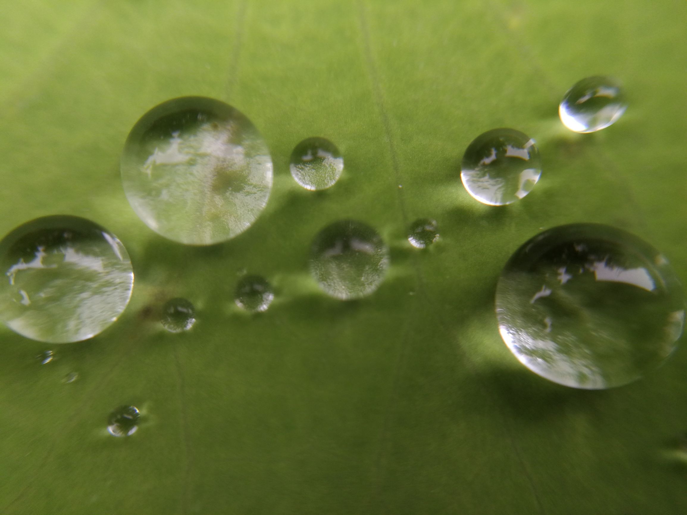 这水滴就像白居易笔下的琵琶声,大珠小珠落玉盘!