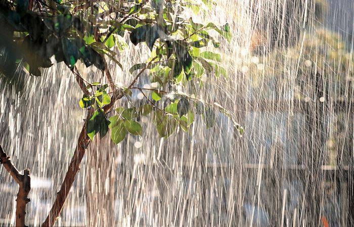 日语之美 充满日本情趣的 雨 名