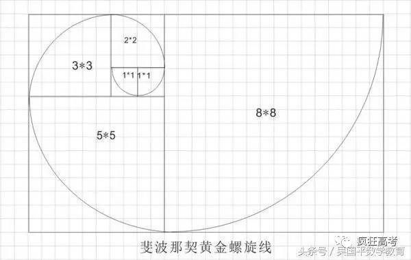 自然界中存在许多斐波那契螺旋线的图案,可以说是自然界最完美的经典