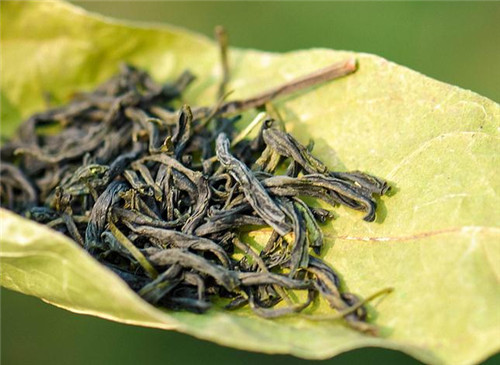 碧螺春是涼性還是熱性碧螺春屬於綠茶嗎