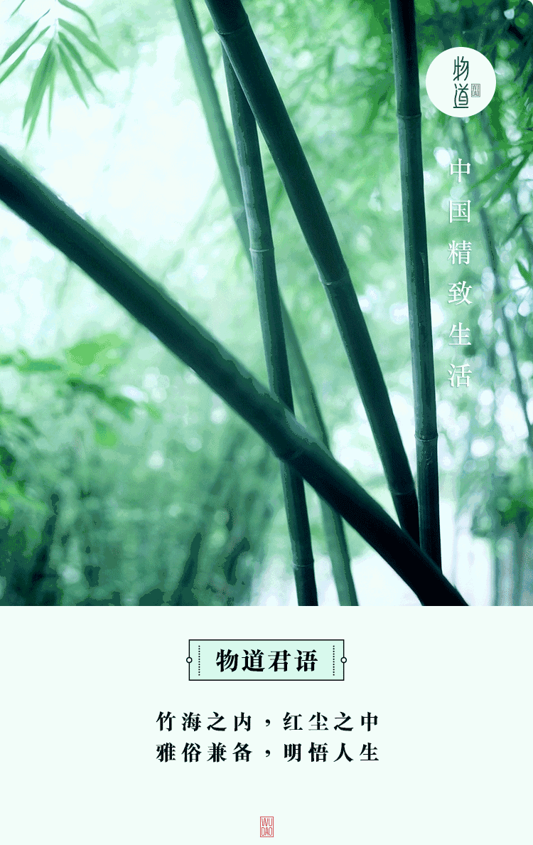 高清动态竹子壁纸大全图片