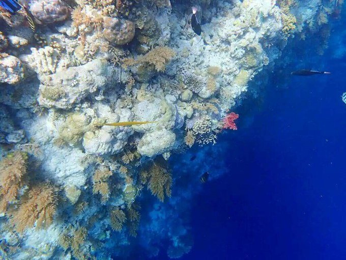 充满热情的纯净海岛帕劳