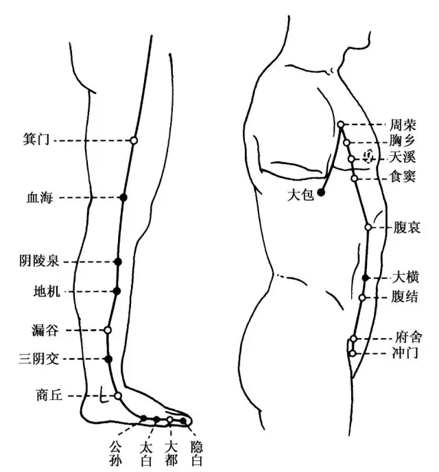 足三阴是哪三条经络图片