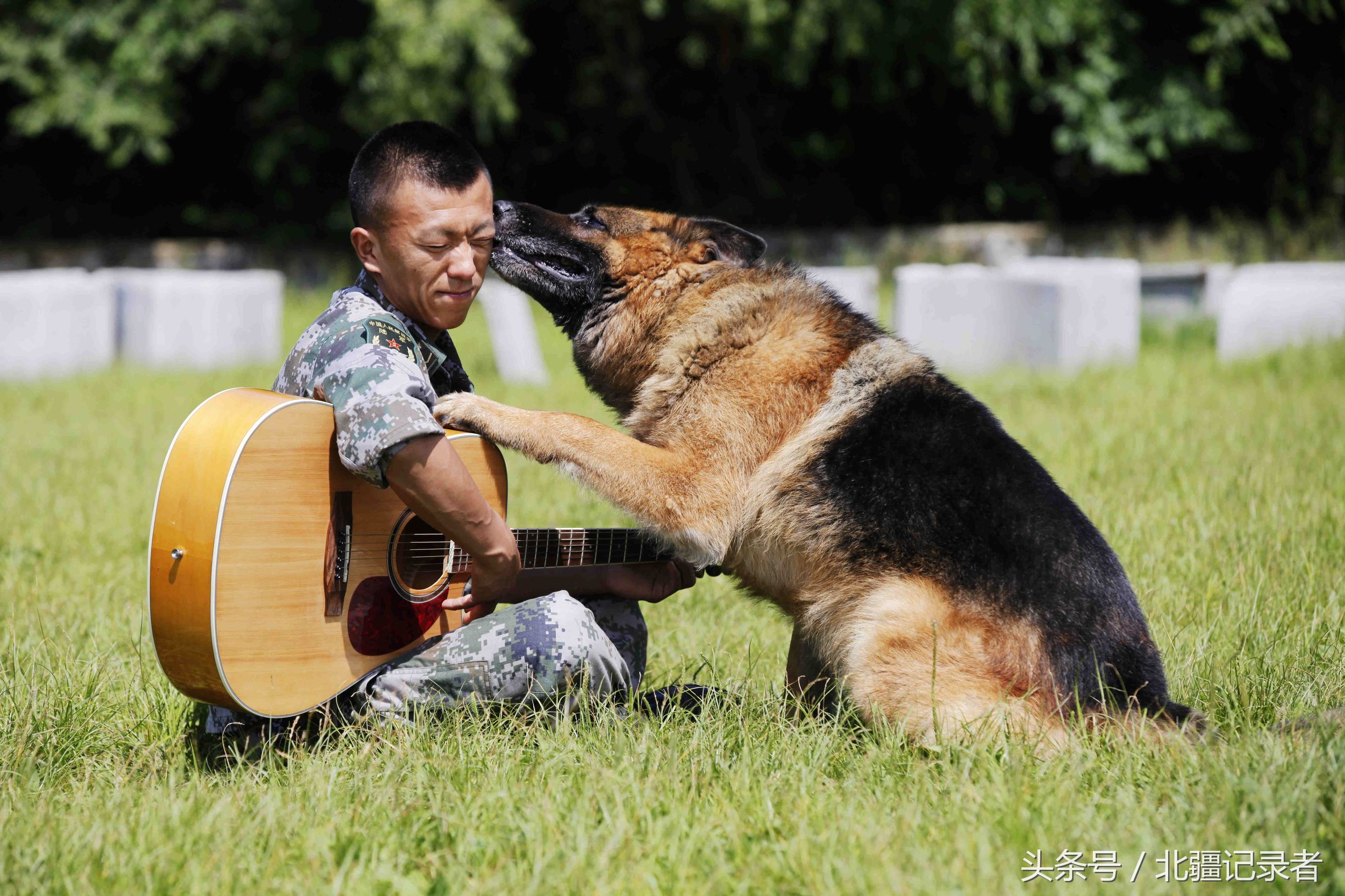 士兵和军犬背景图片图片