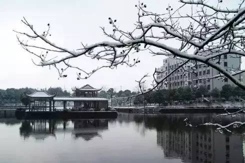 湖南高校湖泊大观吉首大学风雨湖美呆啦