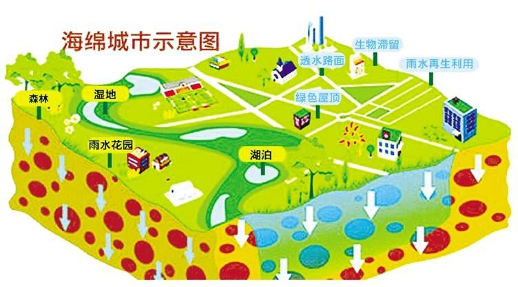 海綿城市示意圖建設海綿城市,首先就要改造城市不透水路面.